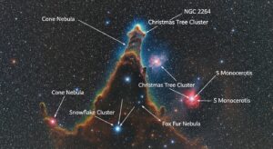 NGC 2264 Annotated: A Clear Guide to Understanding This Star-Forming Region