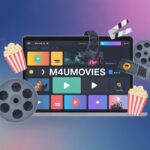 M4UMovies: Understanding Its Popularity and the Online Streaming Landscape