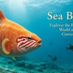 Sea Bunny: Exploring the Fascinating World of One of the Ocean’s Cutest Creatures
