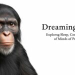 Dreaming Apes: Exploring Sleep, Consciousness, and the Minds of Primates
